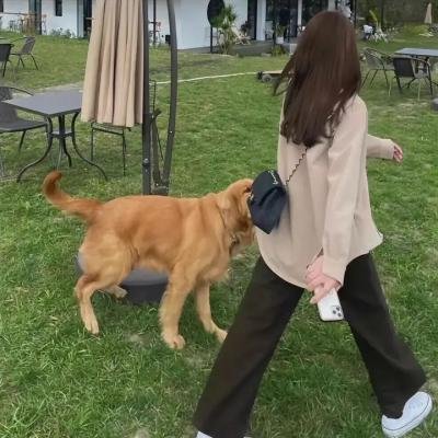 权欲第三季
